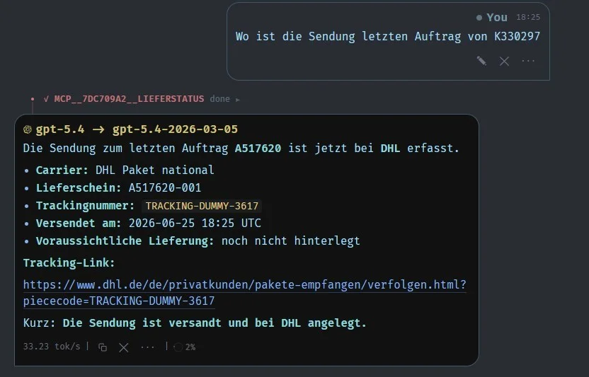 MCP-Server Demo: Versandstatus mit Tracking-Link direkt aus der JTL-Wawi, Testdaten
